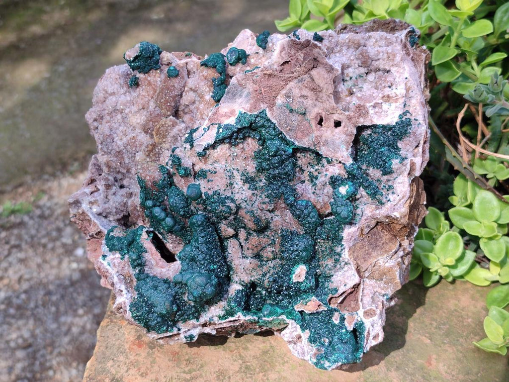 Natural XL Museum Ball Malachite Specimen with Drusy Quartz on Dolomite Matrix x 1 From Mindingi Mine, Kambove, Congo - Toprock Gemstones and Minerals 