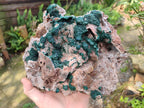 Natural XL Museum Ball Malachite Specimen with Drusy Quartz on Dolomite Matrix x 1 From Mindingi Mine, Kambove, Congo - Toprock Gemstones and Minerals 