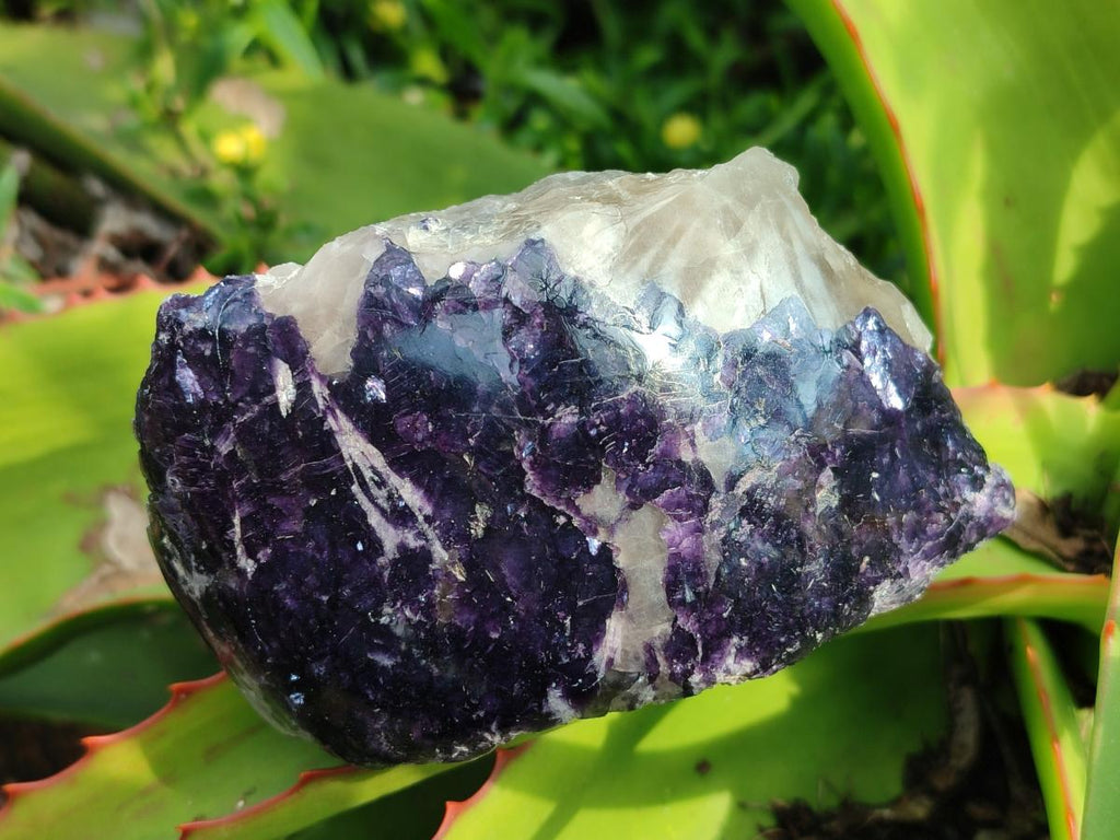 Polished One Side Lithium Silver Leaf Lepidolite Specimens x 6 From Zimbabwe - Toprock Gemstones and Minerals 