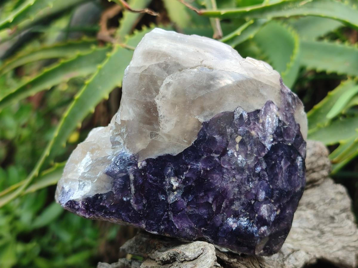 Polished One Side Lithium Silver Leaf Lepidolite Specimens x 6 From Zimbabwe - Toprock Gemstones and Minerals 