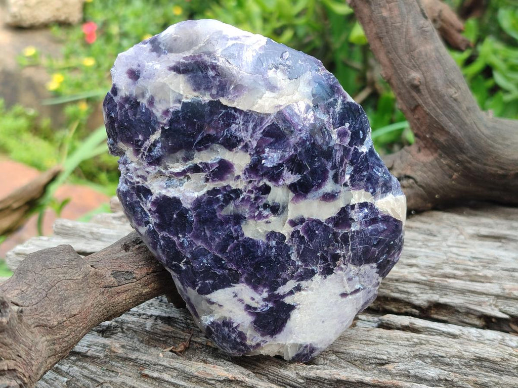 Polished One Side Lithium Silver Leaf Lepidolite Specimens x 6 From Zimbabwe - Toprock Gemstones and Minerals 
