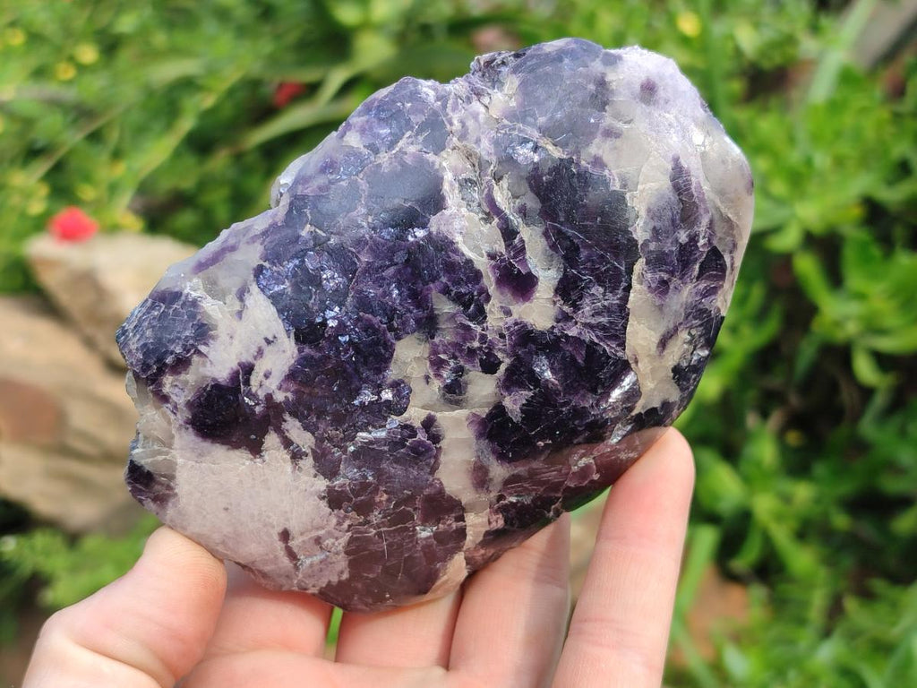 Polished One Side Lithium Silver Leaf Lepidolite Specimens x 6 From Zimbabwe - Toprock Gemstones and Minerals 