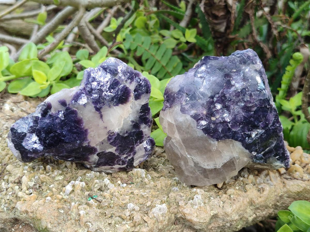 Polished One Side Lithium Silver Leaf Lepidolite Specimens x 6 From Zimbabwe - Toprock Gemstones and Minerals 