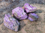 Natural Cobbed Stichtite Specimens x 35 From Barberton, South Africa - Toprock Gemstones and Minerals 
