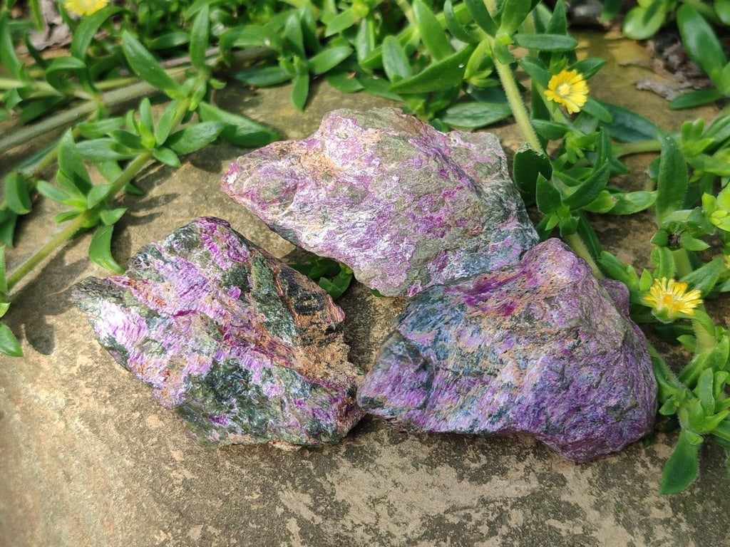Natural Cobbed Stichtite Specimens x 35 From Barberton, South Africa - Toprock Gemstones and Minerals 