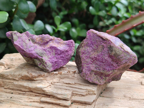Natural Cobbed Stichtite Specimens x 35 From Barberton, South Africa - Toprock Gemstones and Minerals 