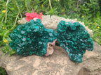 Natural Cabinet Size Dioptase Specimens on Dolomite Matrix x 2 From Tantara Mine, Congo - Toprock Gemstones and Minerals 