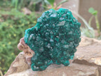 Natural Cabinet Size Dioptase Specimens on Dolomite Matrix x 2 From Tantara Mine, Congo - Toprock Gemstones and Minerals 
