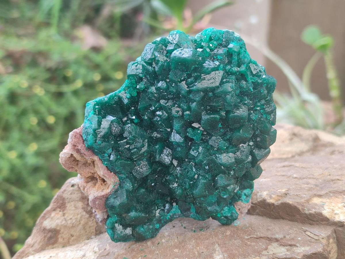 Natural Cabinet Size Dioptase Specimens on Dolomite Matrix x 2 From Tantara Mine, Congo - Toprock Gemstones and Minerals 