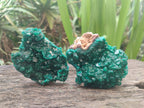 Natural Cabinet Size Dioptase Specimens on Dolomite Matrix x 2 From Tantara Mine, Congo - Toprock Gemstones and Minerals 