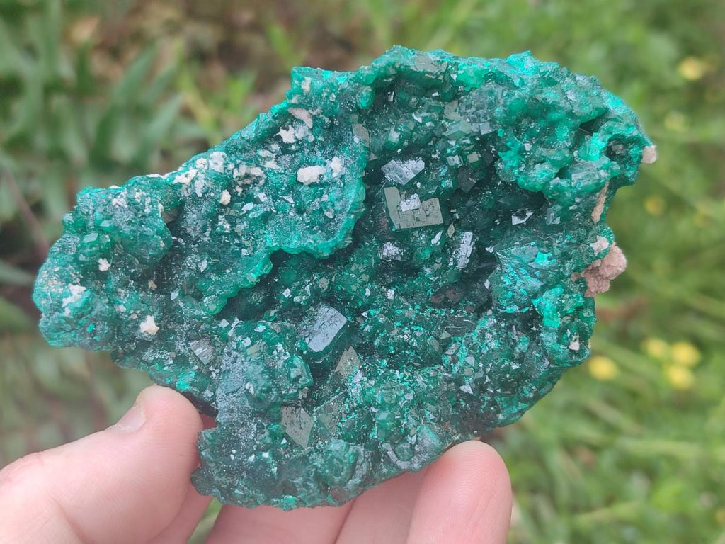 Natural Cabinet Size Dioptase Specimens on Dolomite Matrix x 2 From Tantara Mine, Congo - Toprock Gemstones and Minerals 