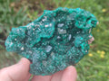 Natural Cabinet Size Dioptase Specimens on Dolomite Matrix x 2 From Tantara Mine, Congo - Toprock Gemstones and Minerals 