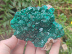 Natural Cabinet Size Dioptase Specimens on Dolomite Matrix x 2 From Tantara Mine, Congo - Toprock Gemstones and Minerals 