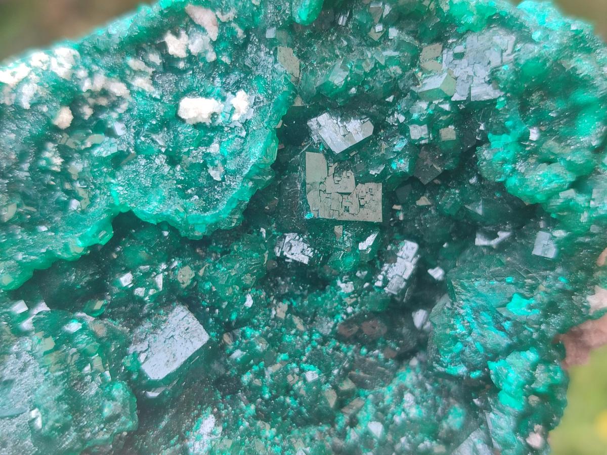 Natural Cabinet Size Dioptase Specimens on Dolomite Matrix x 2 From Tantara Mine, Congo - Toprock Gemstones and Minerals 