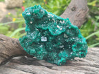 Natural Cabinet Size Dioptase Specimens on Dolomite Matrix x 2 From Tantara Mine, Congo - Toprock Gemstones and Minerals 