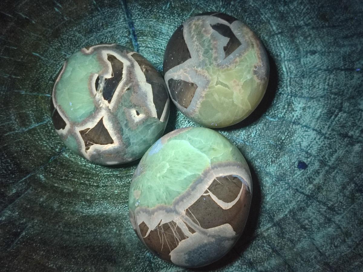 Polished Septerye Galets x 12 From Mahajanga, Madagascar