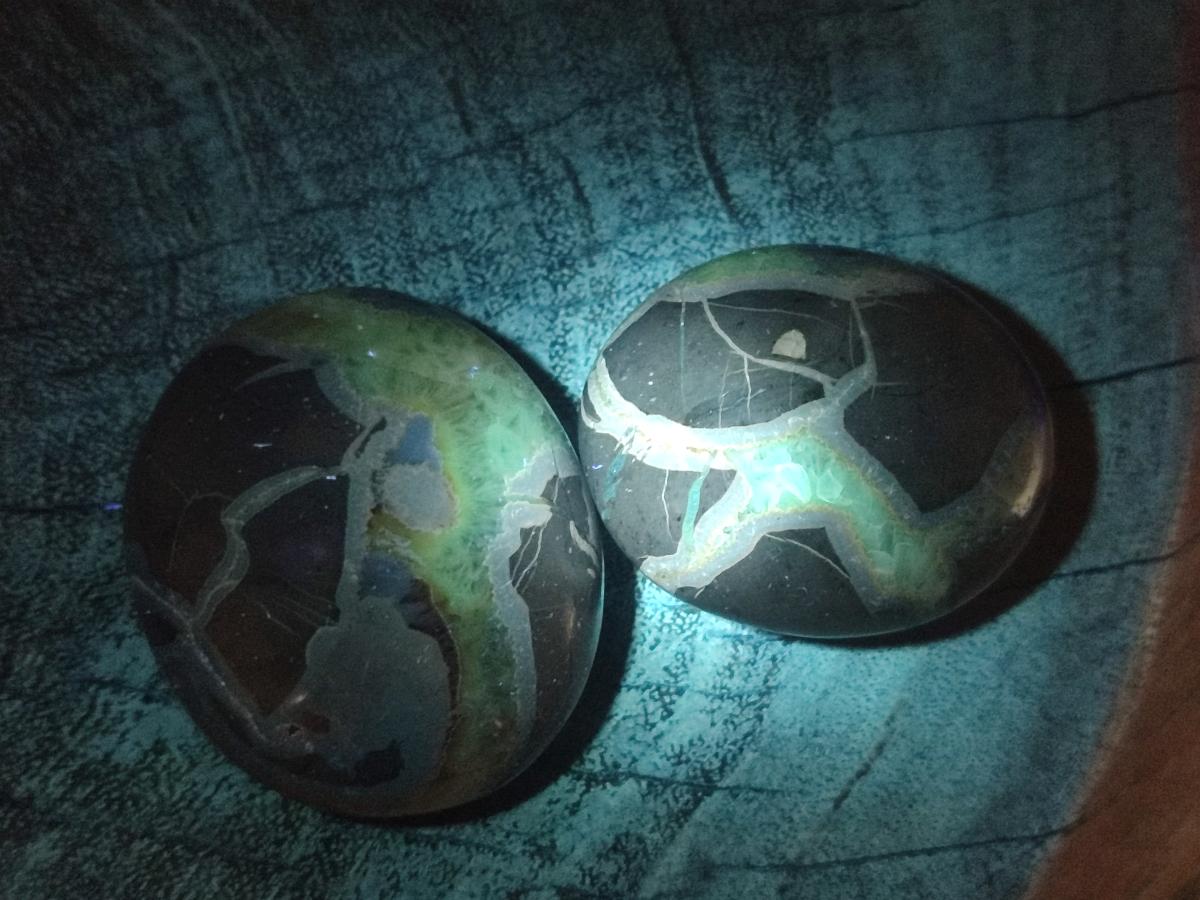 Polished Septerye Galets x 12 From Mahajanga, Madagascar