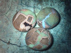 Polished Septerye Galets x 12 From Mahajanga, Madagascar