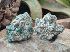 Natural Emerald Mica 'Mutokolite' Cobbed Specimens x 12 From Mutoko, Zimbabwe - Toprock Gemstones and Minerals 
