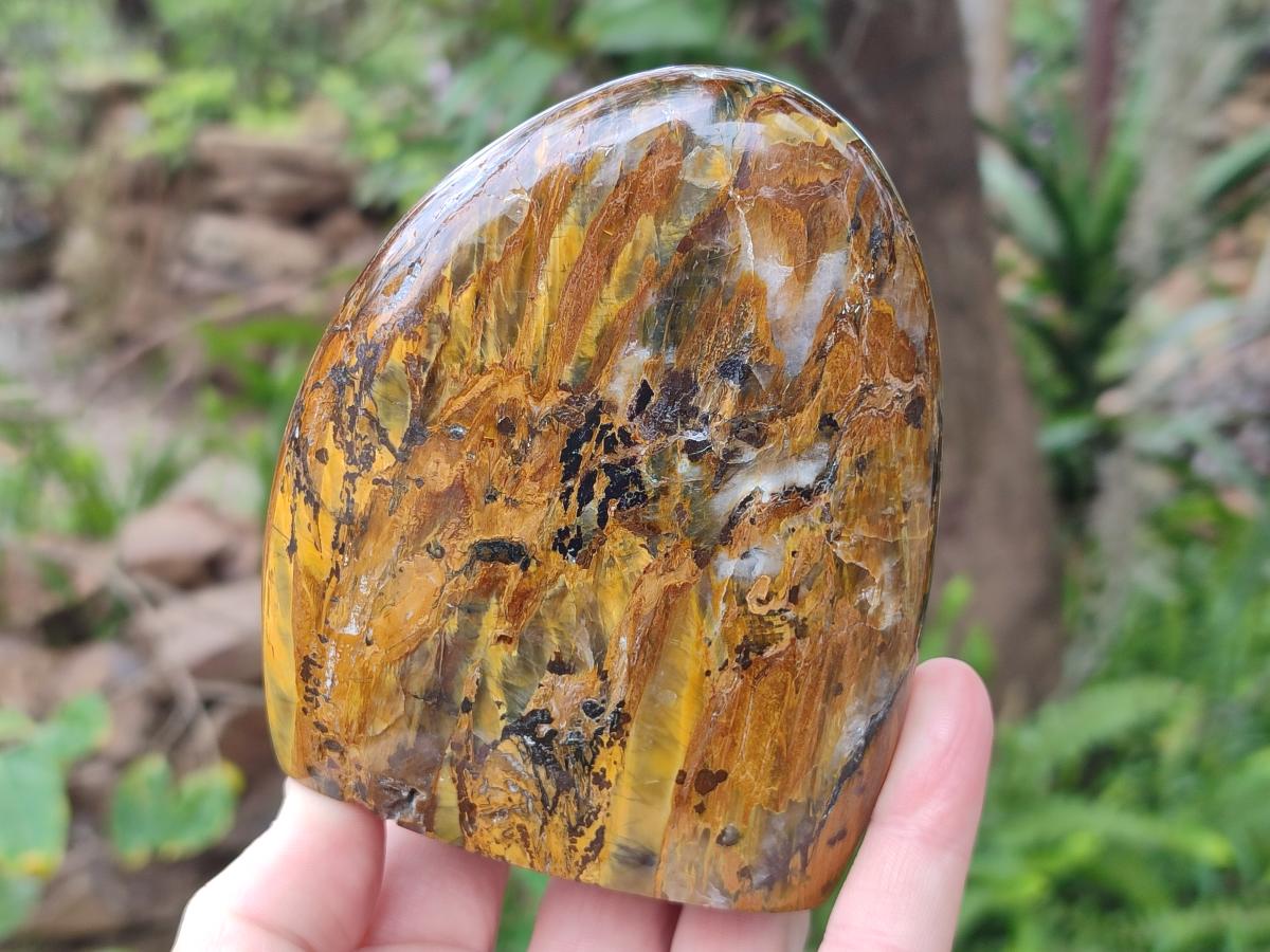 Polished Golden Nellite Tigers Eye Standing Display Pieces x 3 From Prieska, South Africa - Toprock Gemstones and Minerals 