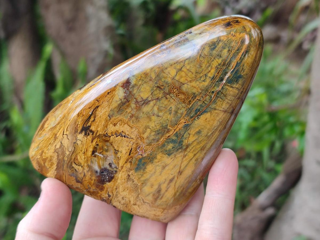 Polished Golden Nellite Tigers Eye Standing Display Pieces x 3 From Prieska, South Africa - Toprock Gemstones and Minerals 