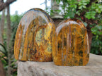 Polished Golden Nellite Tigers Eye Standing Display Pieces x 3 From Prieska, South Africa - Toprock Gemstones and Minerals 