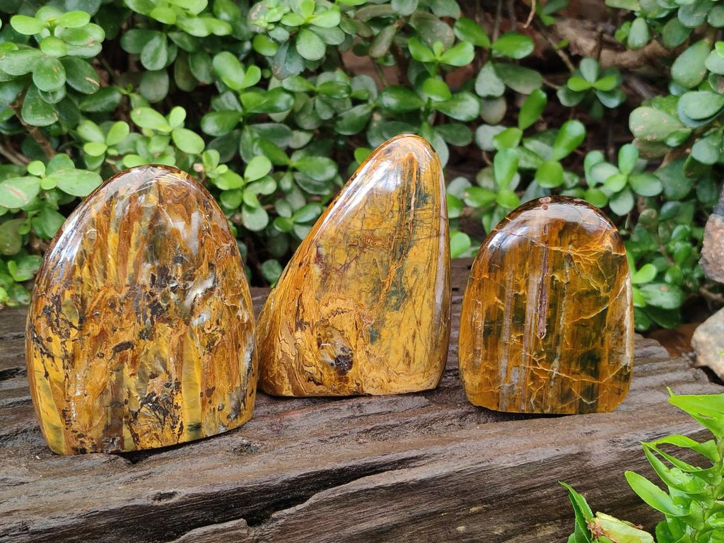 Polished Golden Nellite Tigers Eye Standing Display Pieces x 3 From Prieska, South Africa - Toprock Gemstones and Minerals 