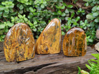 Polished Golden Nellite Tigers Eye Standing Display Pieces x 3 From Prieska, South Africa - Toprock Gemstones and Minerals 
