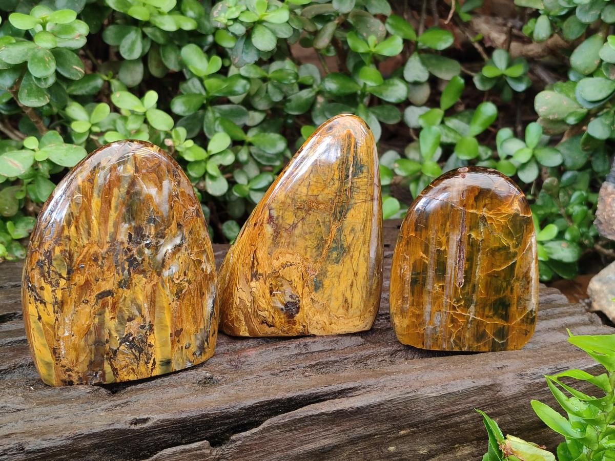 Polished Golden Nellite Tigers Eye Standing Display Pieces x 3 From Prieska, South Africa - Toprock Gemstones and Minerals 
