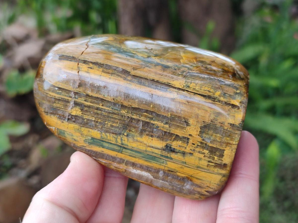 Polished Golden Nellite Tigers Eye Standing Display Pieces x 3 From Prieska, South Africa - Toprock Gemstones and Minerals 