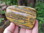 Polished Golden Nellite Tigers Eye Standing Display Pieces x 3 From Prieska, South Africa - Toprock Gemstones and Minerals 