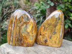 Polished Golden Nellite Tigers Eye Standing Display Pieces x 3 From Prieska, South Africa - Toprock Gemstones and Minerals 
