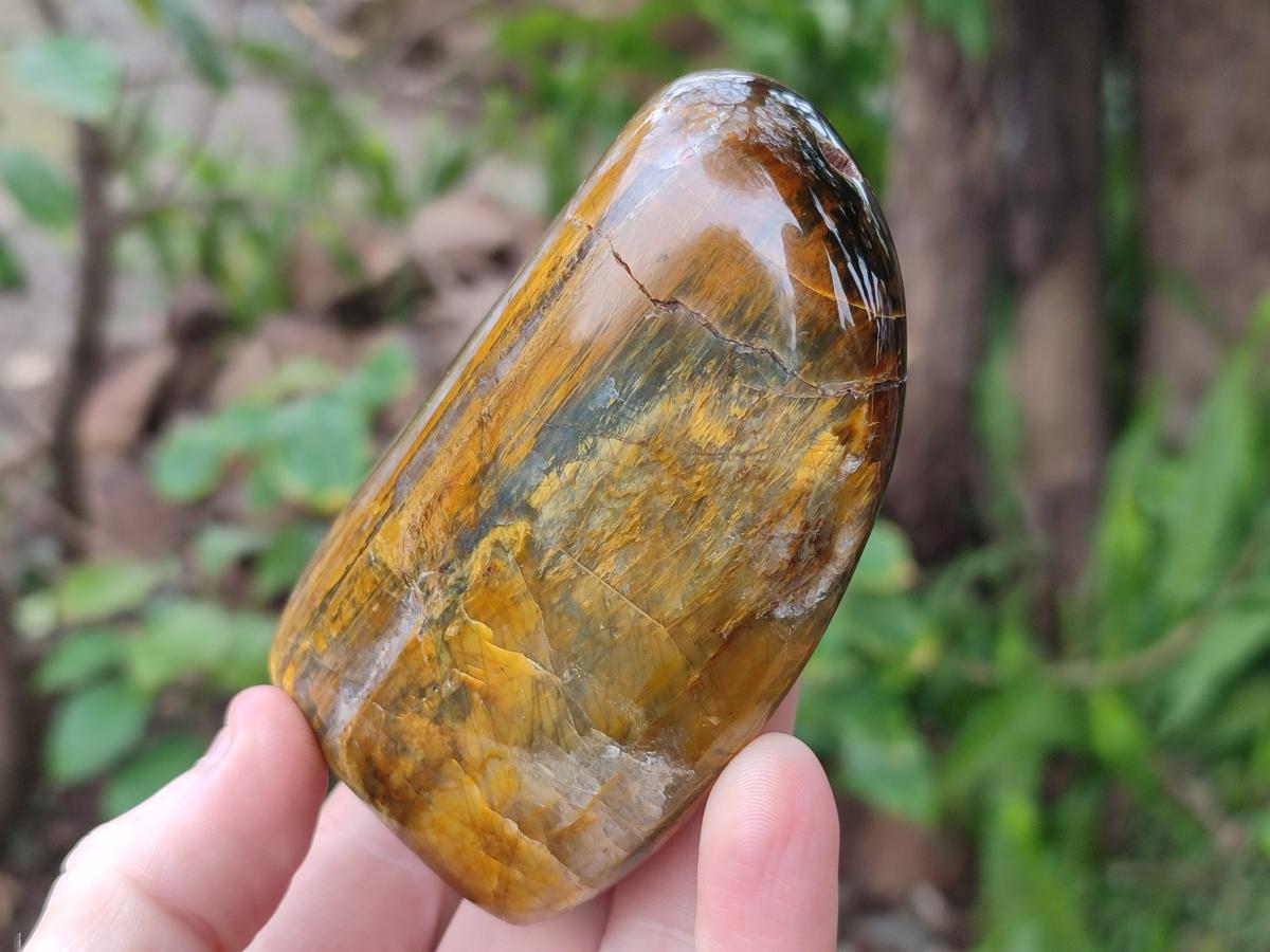 Polished Golden Nellite Tigers Eye Standing Display Pieces x 3 From Prieska, South Africa - Toprock Gemstones and Minerals 