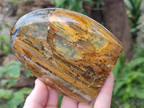 Polished Golden Nellite Tigers Eye Standing Display Pieces x 3 From Prieska, South Africa - Toprock Gemstones and Minerals 