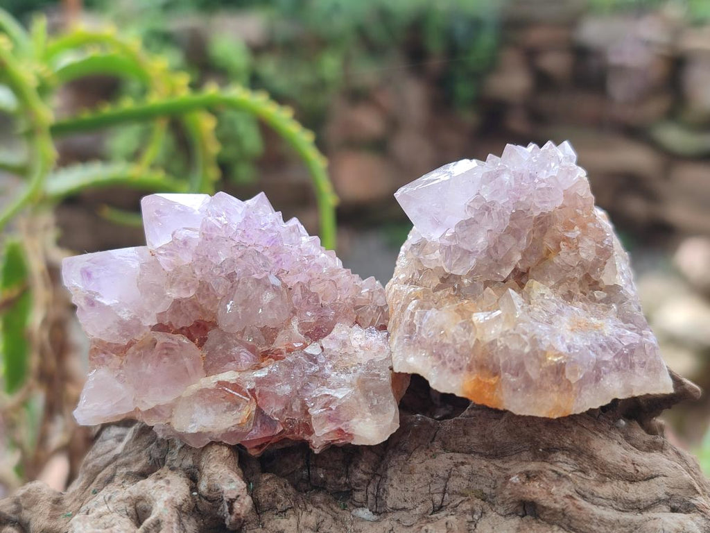 Natural Spirit Amethyst Clusters x 20 From Boekenhouthoek, South Africa - Toprock Gemstones and Minerals 