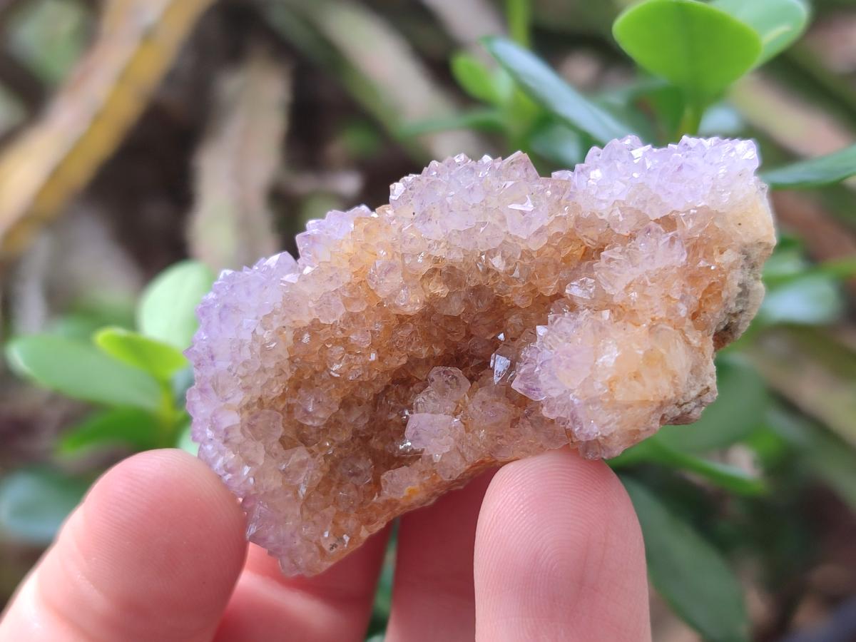 Natural Spirit Amethyst Clusters x 20 From Boekenhouthoek, South Africa - Toprock Gemstones and Minerals 