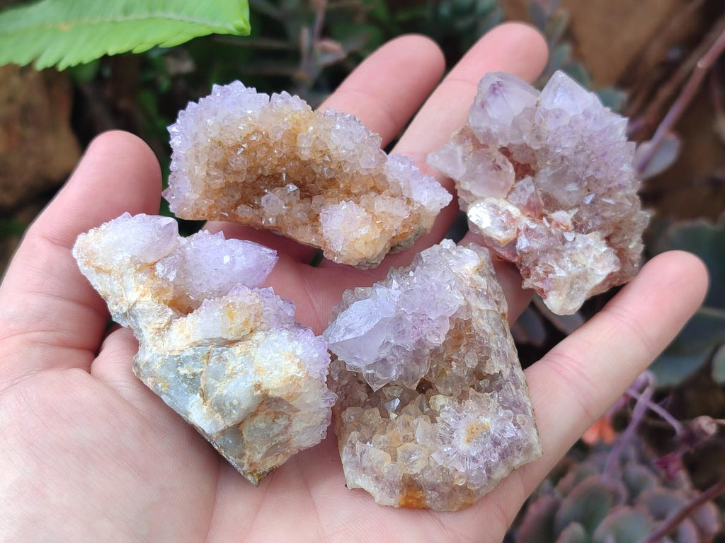Natural Spirit Amethyst Clusters x 20 From Boekenhouthoek, South Africa - Toprock Gemstones and Minerals 