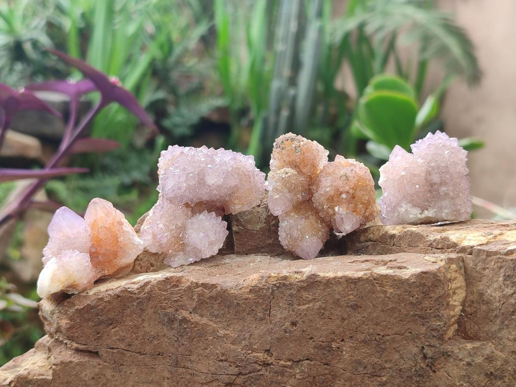 Natural Spirit Amethyst Clusters x 20 From Boekenhouthoek, South Africa - Toprock Gemstones and Minerals 