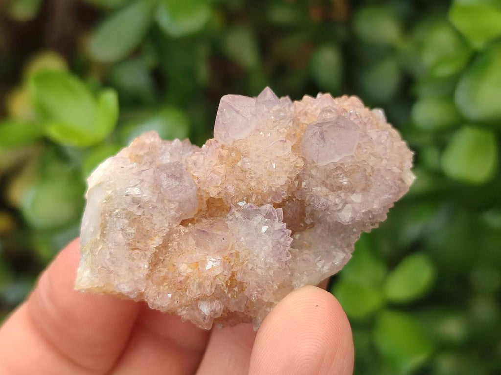 Natural Spirit Amethyst Clusters x 20 From Boekenhouthoek, South Africa - Toprock Gemstones and Minerals 