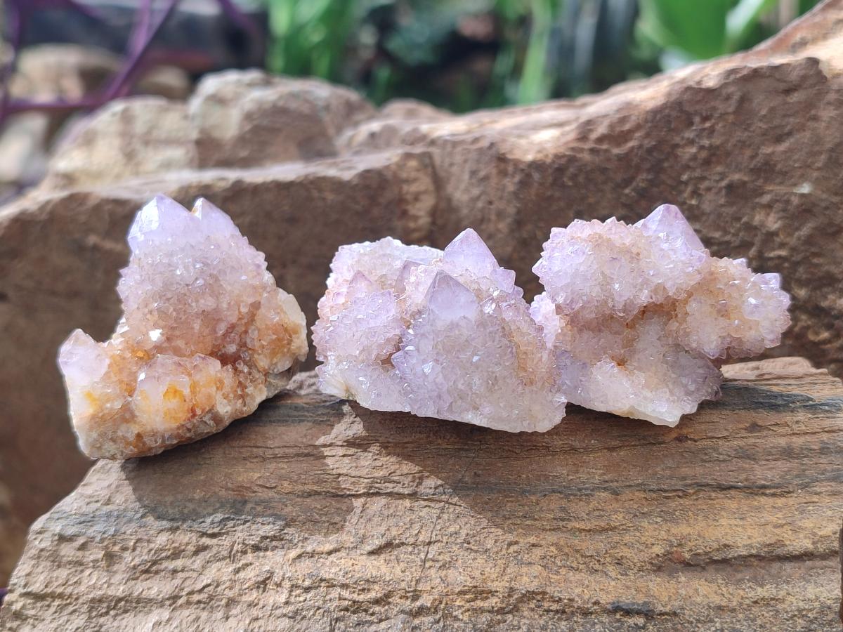 Natural Spirit Amethyst Clusters x 20 From Boekenhouthoek, South Africa - Toprock Gemstones and Minerals 
