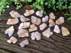 Natural Spirit Amethyst Clusters x 20 From Boekenhouthoek, South Africa - Toprock Gemstones and Minerals 