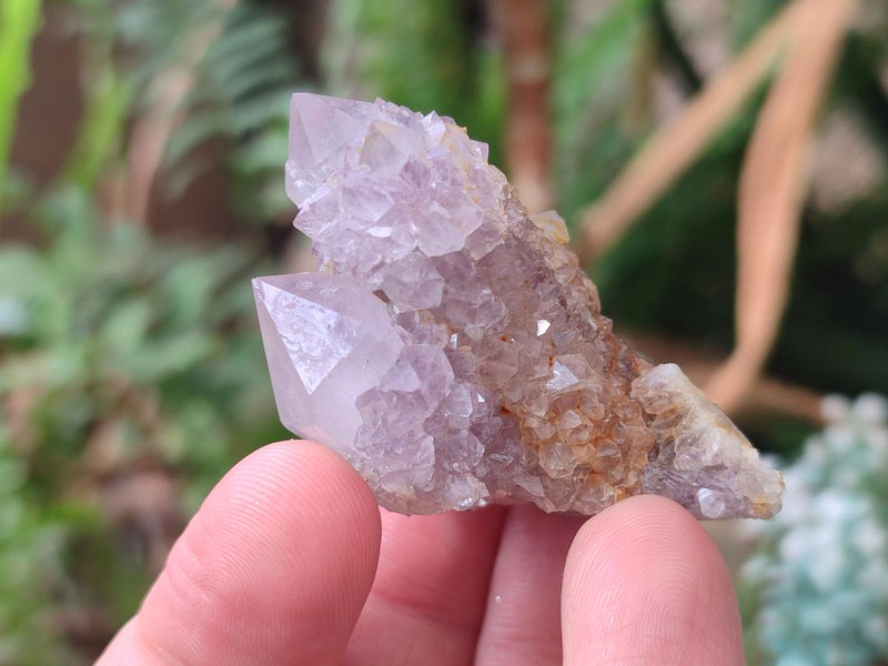 Natural Spirit Amethyst Clusters x 20 From Boekenhouthoek, South Africa - Toprock Gemstones and Minerals 