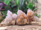 Natural Spirit Amethyst Clusters x 20 From Boekenhouthoek, South Africa - Toprock Gemstones and Minerals 