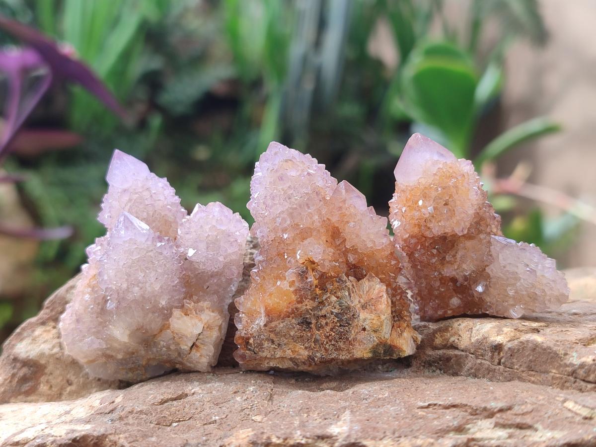 Natural Spirit Amethyst Clusters x 20 From Boekenhouthoek, South Africa - Toprock Gemstones and Minerals 