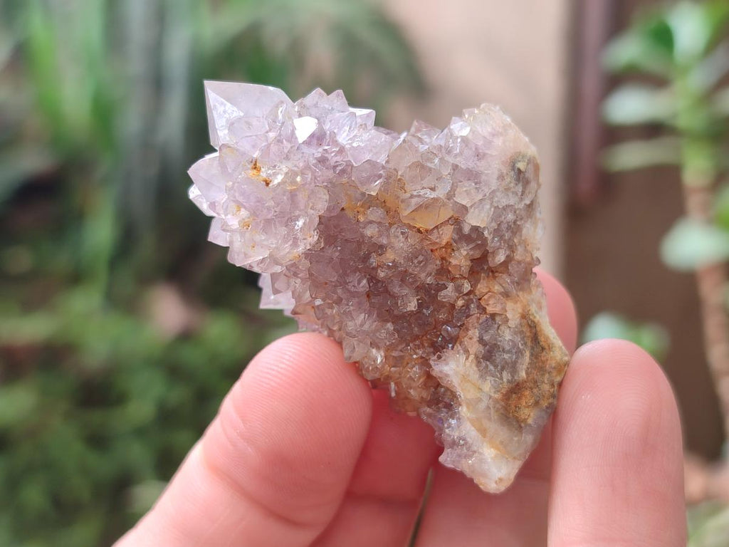 Natural Spirit Amethyst Clusters x 20 From Boekenhouthoek, South Africa - Toprock Gemstones and Minerals 