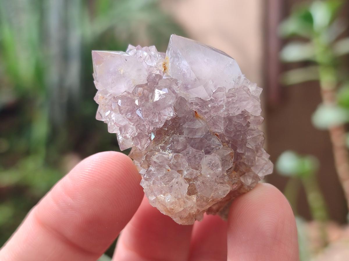 Natural Spirit Amethyst Clusters x 20 From Boekenhouthoek, South Africa - Toprock Gemstones and Minerals 