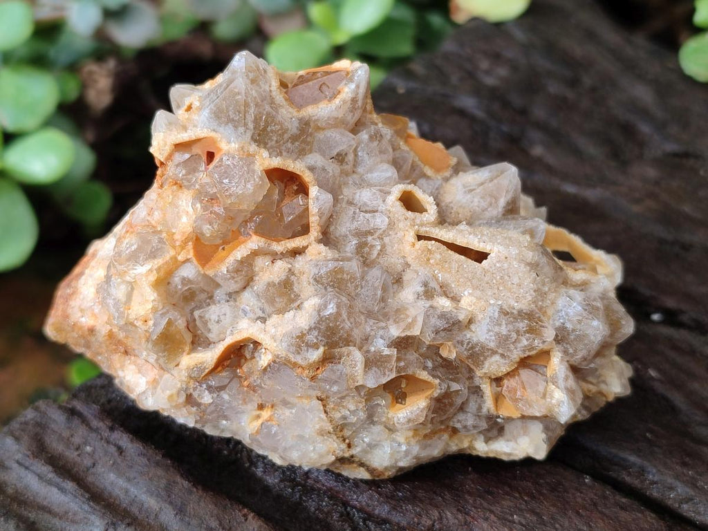 Natural Golden Limonite Quartz Clusters x 12 From Mwinilunga, Zambia - Toprock Gemstones and Minerals 