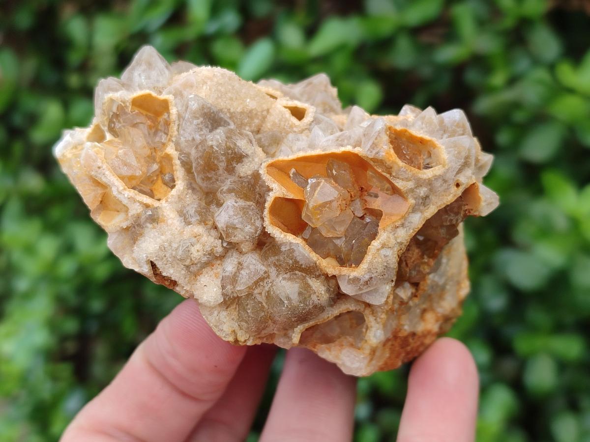 Natural Golden Limonite Quartz Clusters x 12 From Mwinilunga, Zambia - Toprock Gemstones and Minerals 