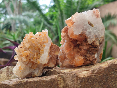 Natural Golden Limonite Quartz Clusters x 12 From Mwinilunga, Zambia - Toprock Gemstones and Minerals 