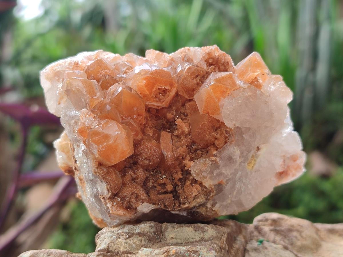 Natural Golden Limonite Quartz Clusters x 12 From Mwinilunga, Zambia - Toprock Gemstones and Minerals 